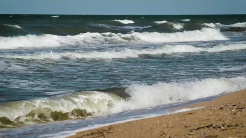 Free Stock Video Sea Waves Reaching The Beach Sand Live Wallpaper - Free Live Wallpaper