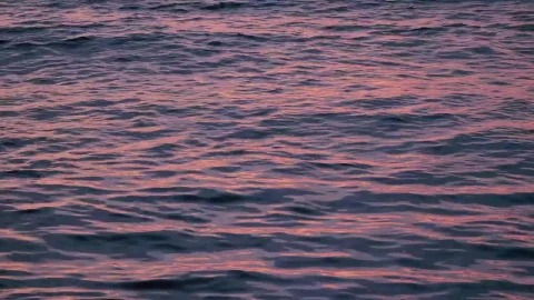 Free Stock Video Sea Waves Reflecting The Sunset Live Wallpaper - Free Live Wallpaper