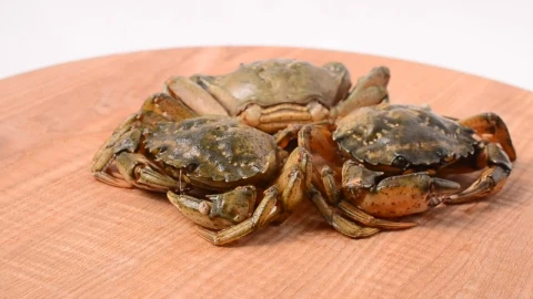 Free Stock Video Seafood On A Small Table Live Wallpaper - Free Live Wallpaper