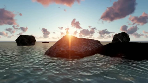 Free Stock Video Seagull Perched On A Rock On A Beach D At Live Wallpaper - Free Live Wallpaper