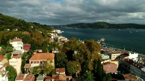Free Stock Video Seagulls Flying Over A Fishing Village Live Wallpaper - Free Live Wallpaper