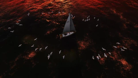 Free Stock Video Seagulls Spinning Around A Sailboat Live Wallpaper - Free Live Wallpaper