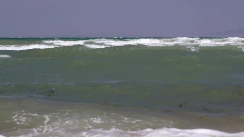Free Stock Video Seaweed Floating In The Waves Live Wallpaper - Free Live Wallpaper