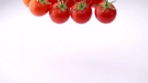 Free Stock Video Several Ripe Tomatoes Falling On The Table Live Wallpaper - Free Live Wallpaper