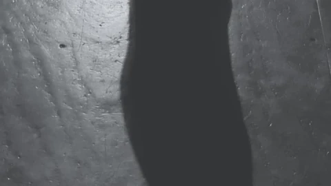 Free Stock Video Shadow On The Floor Of A Ballet Dancer Live Wallpaper - Free Live Wallpaper