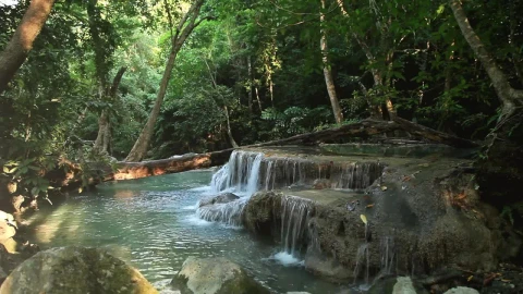 Free Stock Video Shallow Waterfall Hidden By Woodland Live Wallpaper - Free Live Wallpaper