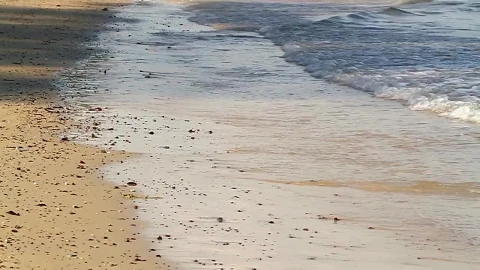 Free Stock Video Shallow Waves On A Dirty Beach Live Wallpaper - Free Live Wallpaper