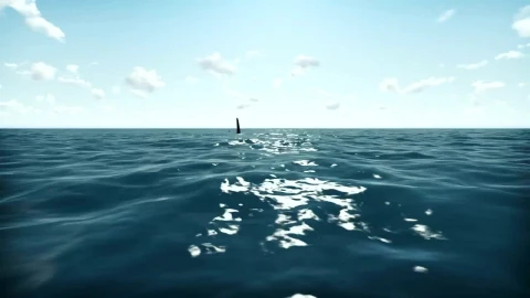 Free Stock Video Shark In The Ocean D Animation Live Wallpaper - Free Live Wallpaper