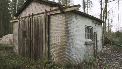 Free Stock Video Shed In A Temperate Forest Live Wallpaper - Free Live Wallpaper