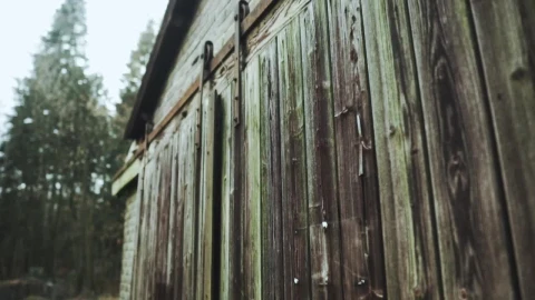 Free Stock Video Shed In The Forest Live Wallpaper - Free Live Wallpaper