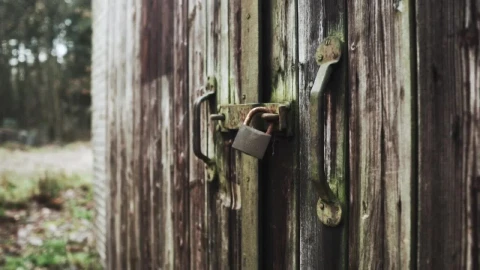 Free Stock Video Shed In The Forest Closed With A Padlock Live Wallpaper - Free Live Wallpaper
