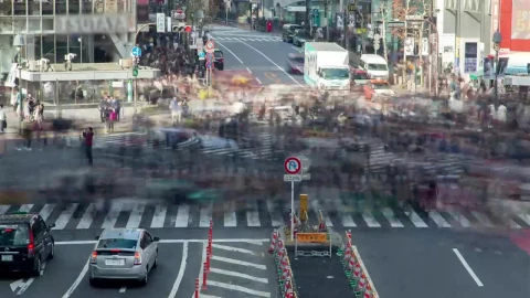 Free Stock Video Shibuya District Crosswalk Time Lapse Live Wallpaper - Free Live Wallpaper