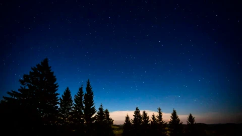 Free Stock Video Shooting Stars On A Night In The Woods Live Wallpaper - Free Live Wallpaper