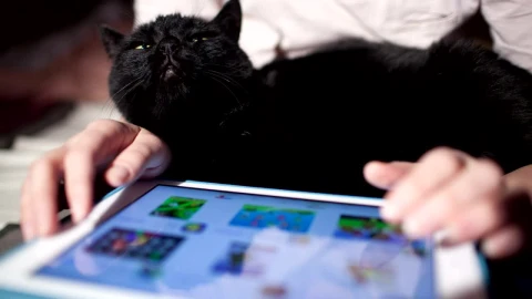 Free Stock Video Shopping Online Using A Touchscreen Live Wallpaper - Free Live Wallpaper