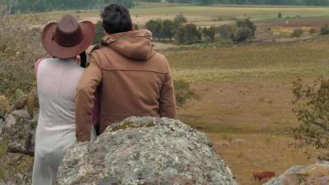 Free Stock Video Shot From Behind A Couple Watching The Landscape Live Wallpaper - Free Live Wallpaper