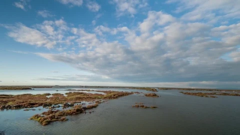 Free Stock Video Shot From An All Terrain Vehicle In The Swamp Live Wallpaper - Free Live Wallpaper