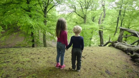 Free Stock Video Siblings In A Forest Live Wallpaper - Free Live Wallpaper