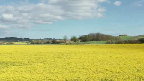 Free Stock Video Sideways Shot Of Farmland Live Wallpaper - Free Live Wallpaper