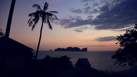 Free Stock Video Silhouette Of A Beach During Sunset Live Wallpaper - Free Live Wallpaper
