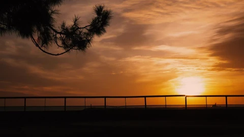 Free Stock Video Silhouette Of A Couple Kissing On A Sunset Live Wallpaper - Free Live Wallpaper