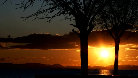 Free Stock Video Silhouette Of A Landscape During The Calm Sunset Live Wallpaper - Free Live Wallpaper