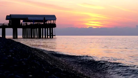 Free Stock Video Silhouette Of A Pure In The Sunset At The Sea Live Wallpaper - Free Live Wallpaper