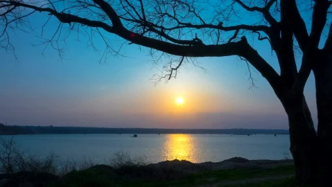Free Stock Video Silhouette Of A Tree On A Sunset In The Lake Live Wallpaper - Free Live Wallpaper