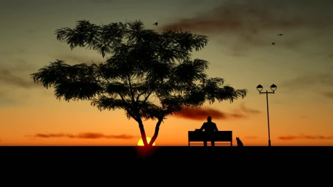 Free Stock Video Silhouette Of An Old Man Relaxing At Sunset Live Wallpaper - Free Live Wallpaper