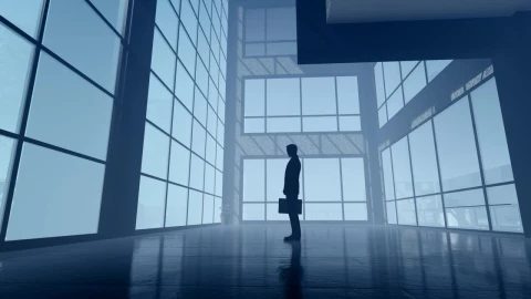 Free Stock Video Silhouette Of Business Person With Portfolio Live Wallpaper - Free Live Wallpaper