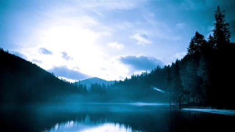 Free Stock Video Silhouette Of Nature On A Lake Time Lapse Live Wallpaper - Free Live Wallpaper