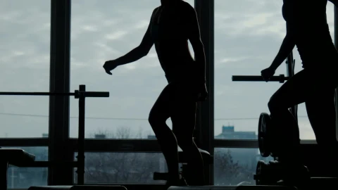 Free Stock Video Silhouette Of Women Doing Exercises Live Wallpaper - Free Live Wallpaper