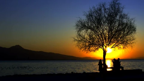 Free Stock Video Silhouettes Of People By The Sea At Sunset Live Wallpaper - Free Live Wallpaper