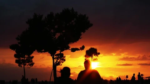 Free Stock Video Silhouettes Of People In A Park During A Sunset Live Wallpaper - Free Live Wallpaper