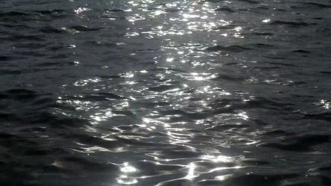 Free Stock Video Silver Ripples On The Coast Live Wallpaper - Free Live Wallpaper