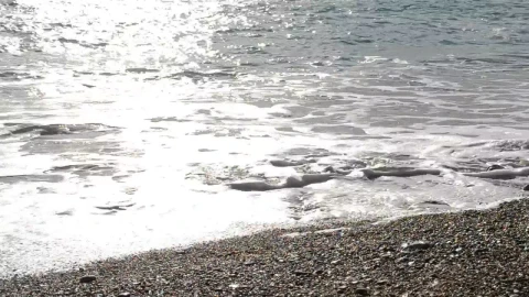 Free Stock Video Silver Waves Breaking On The Beach Live Wallpaper - Free Live Wallpaper