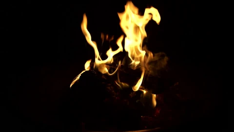 Free Stock Video Simple Campfire Burning Live Wallpaper - Free Live Wallpaper