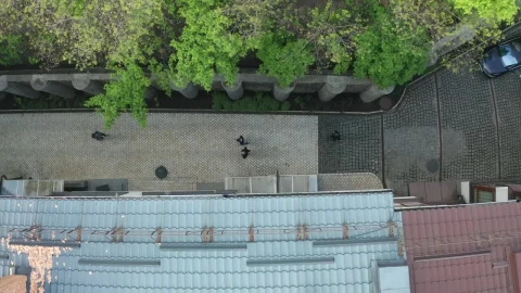 Free Stock Video Simulated Street Crime Live Wallpaper - Free Live Wallpaper