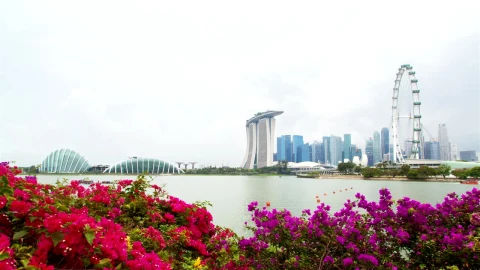 Free Stock Video Singapore Cityscape And Flowers Live Wallpaper - Free Live Wallpaper
