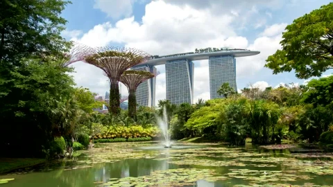Free Stock Video Singapore Gardens And Fountain In The Lake Live Wallpaper - Free Live Wallpaper