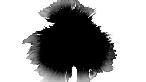 Free Stock Video Single Black Splatter Live Wallpaper - Free Live Wallpaper