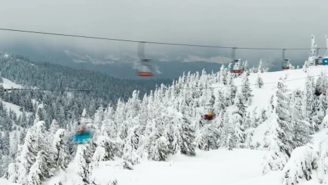 Free Video Stock Ski Lift Over A Frozen Mountain Forest Live Wallpaper - Free Live Wallpaper