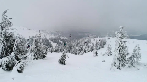 Free Video Stock Ski Station Transporting Skiers Live Wallpaper - Free Live Wallpaper