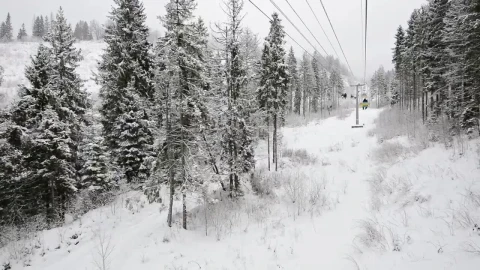 Free Video Stock Ski Station View Of A White Winter Forest Live Wallpaper - Free Live Wallpaper