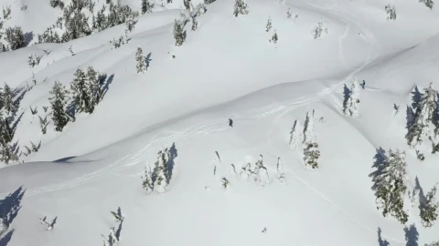 Free Video Stock Skier Going Down A Snowy Slope Live Wallpaper - Free Live Wallpaper