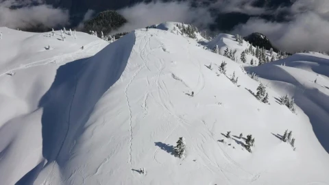 Free Video Stock Skiers Going Down A Canadian Mountain Live Wallpaper - Free Live Wallpaper