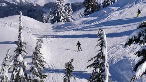 Free Video Stock Skiing On A Snowy Slope Live Wallpaper - Free Live Wallpaper