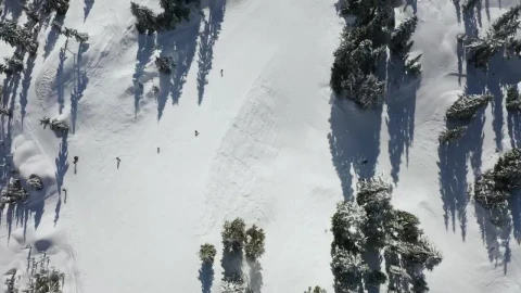 Free Video Stock Skiing On The Slope Of A Canadian Mountain Live Wallpaper - Free Live Wallpaper