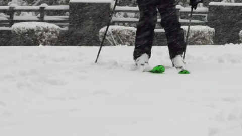 Free Video Stock Skiing Through A Park Live Wallpaper - Free Live Wallpaper