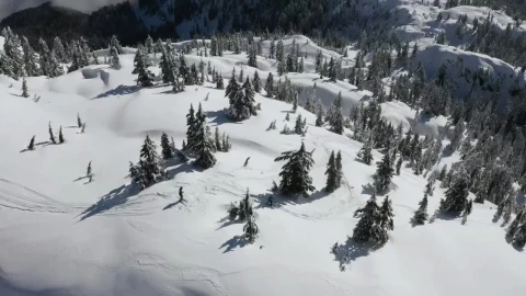 Free Video Stock Skiing Through The Snowy Relief Of Canada Live Wallpaper - Free Live Wallpaper