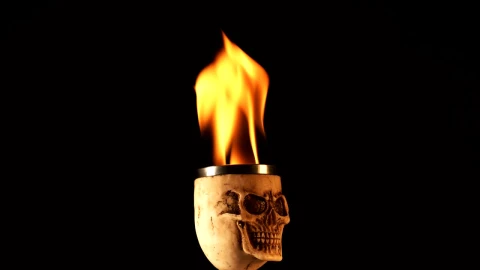 Free Video Stock Skull Shaped Cup With Fire On Black Background Live Wallpaper - Free Live Wallpaper